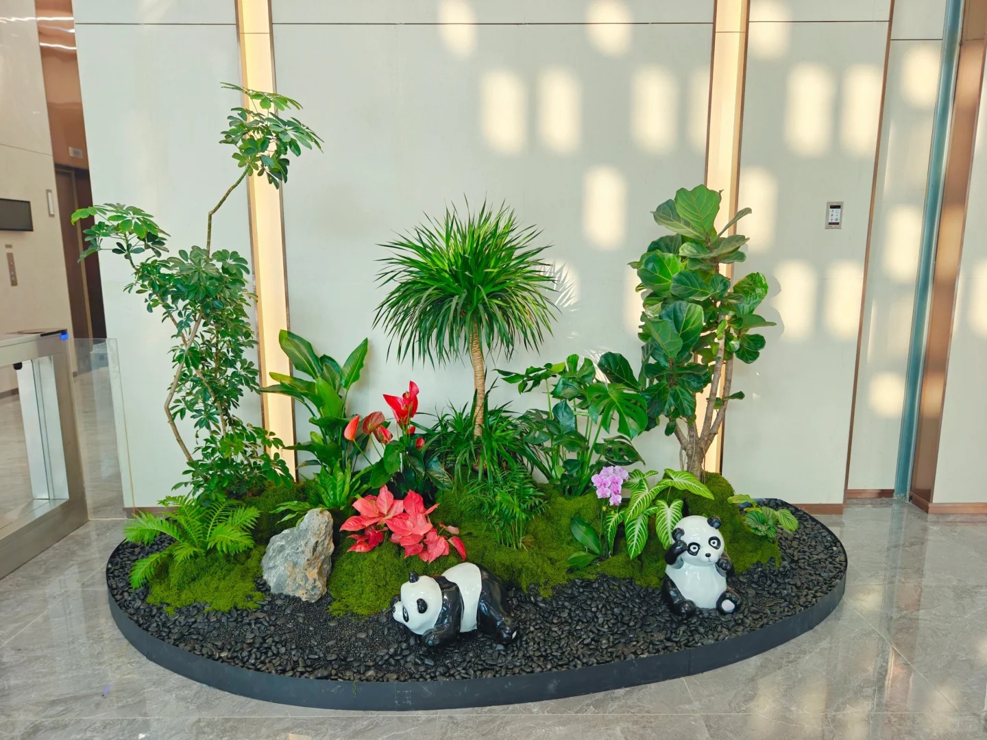 专业镇海植物租赁,为您装点别样环境